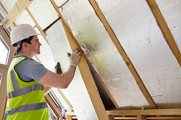 Best Fiberglass Insulation  in Belvedere, SC