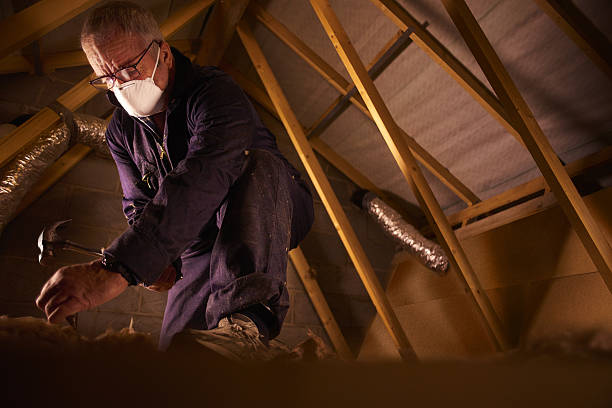 Best Professional Insulation Contractor  in Belvedere, SC